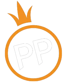 pp电子模拟器Logo